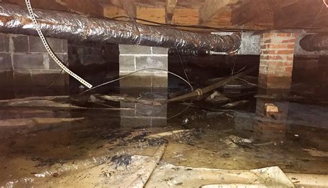 excessive moisture in crawl space